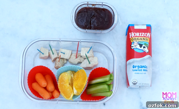 Horizon Organic School Lunch Ideas