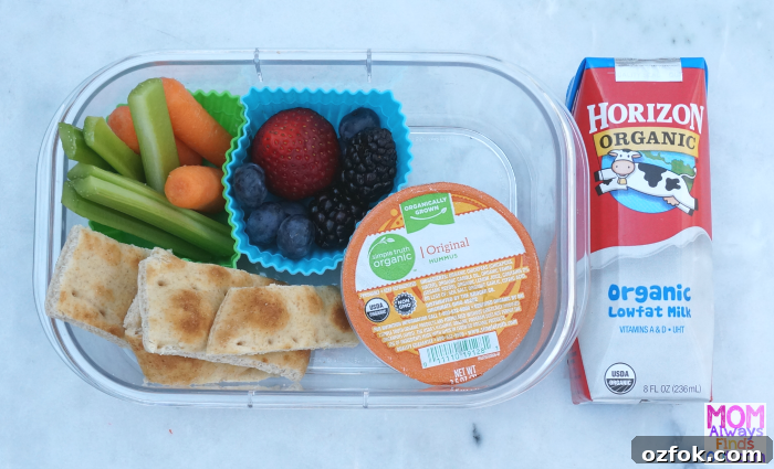 Horizon Organic School Lunch Ideas