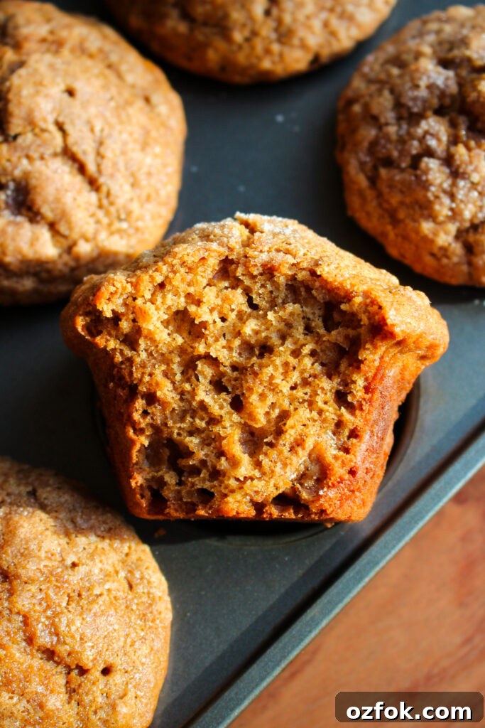 Gingerbread Banana Muffins Recipe — Spiced Banana Quick Breads 5 Single muffin