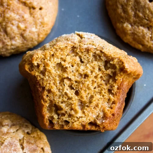 Gingerbread Banana Muffins Recipe — Spiced Banana Quick Breads 6 Gingerbread Banana Muffins