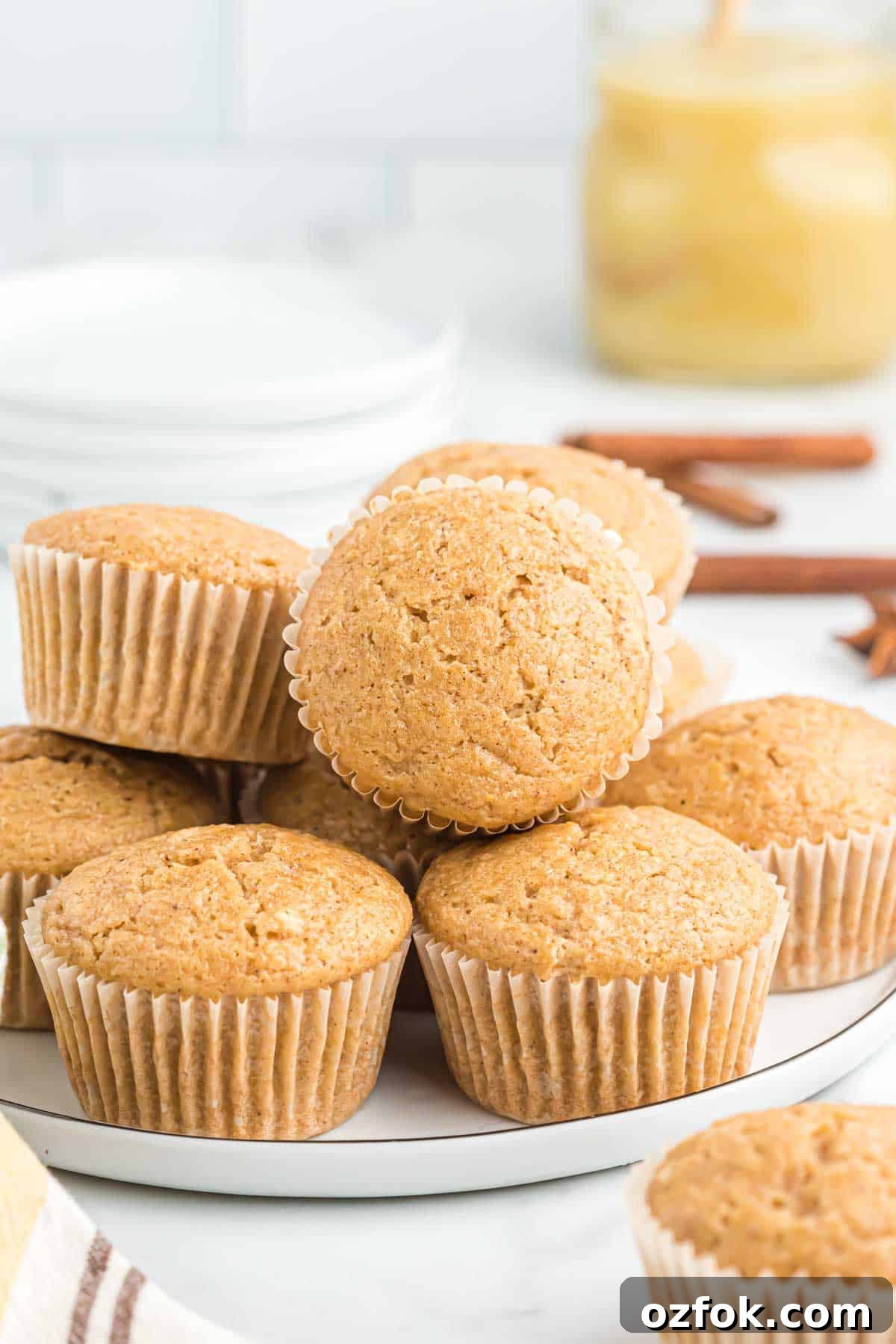 Moist Applesauce Muffins with Warm Cinnamon Sugar Topping 2 applesauce muffins