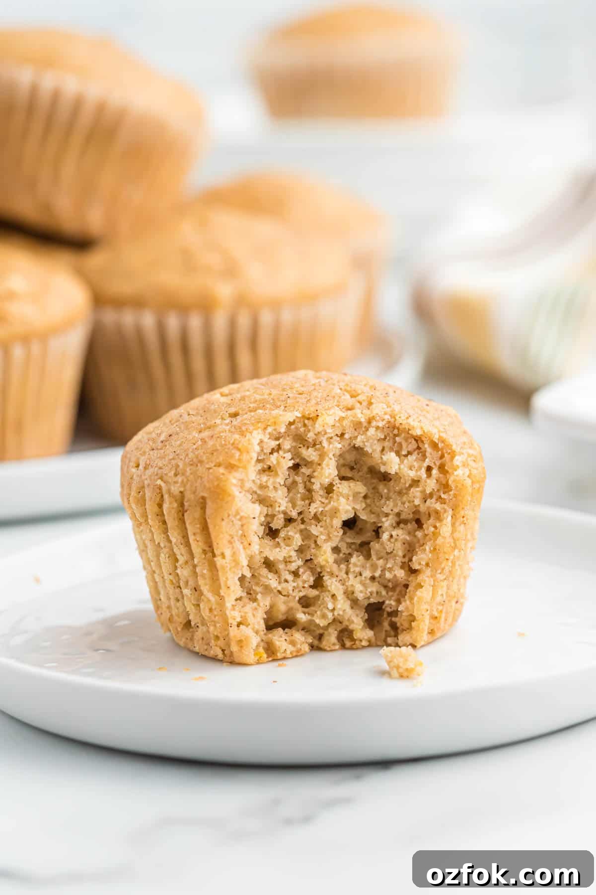 Moist Applesauce Muffins with Warm Cinnamon Sugar Topping 12 applesauce muffin with a bite taken out