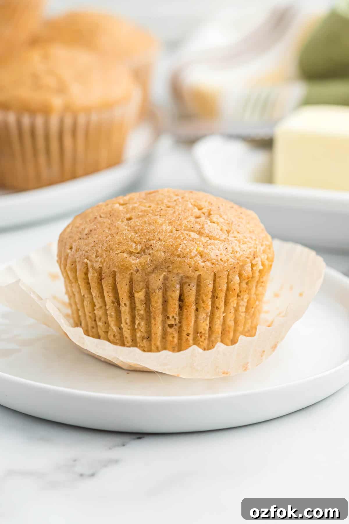 Moist Applesauce Muffins with Warm Cinnamon Sugar Topping 14 applesauce muffin on a plate