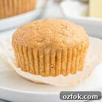 Moist Applesauce Muffins with Warm Cinnamon Sugar Topping 15 applesauce muffin