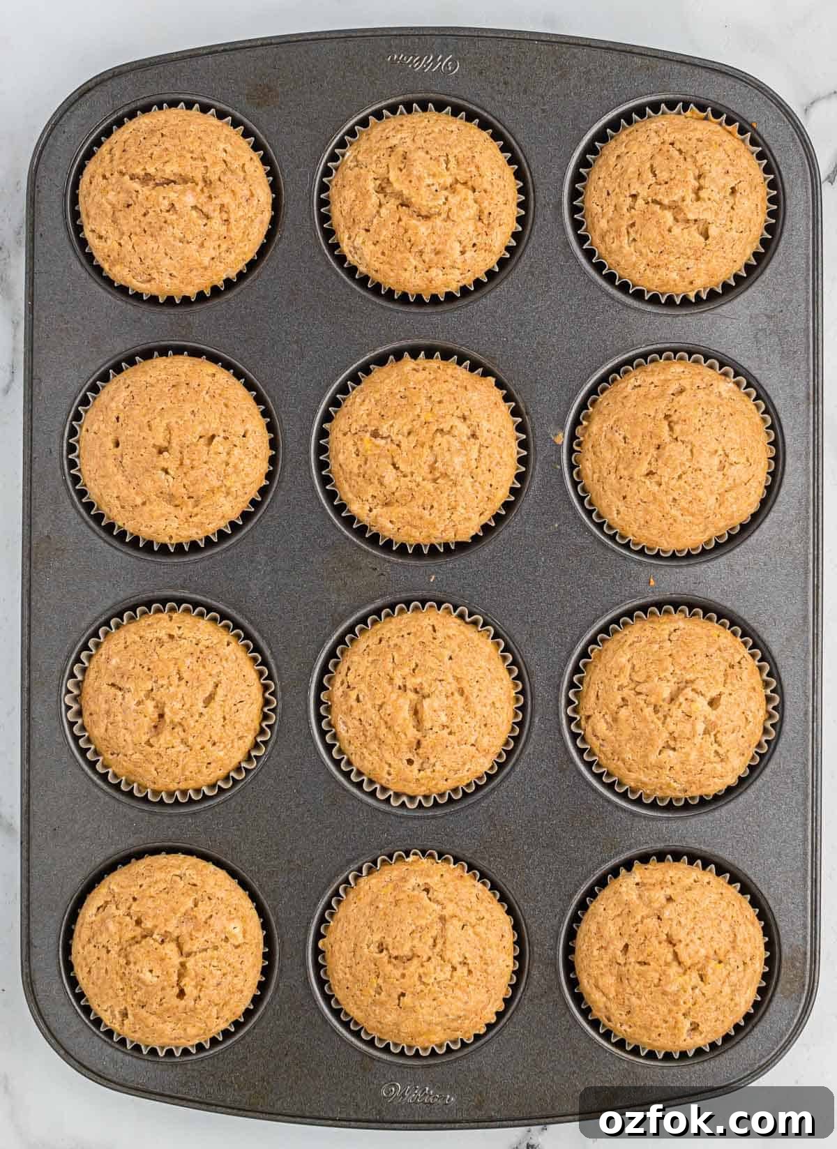 Moist Applesauce Muffins with Warm Cinnamon Sugar Topping 10 applesauce muffins in the tin