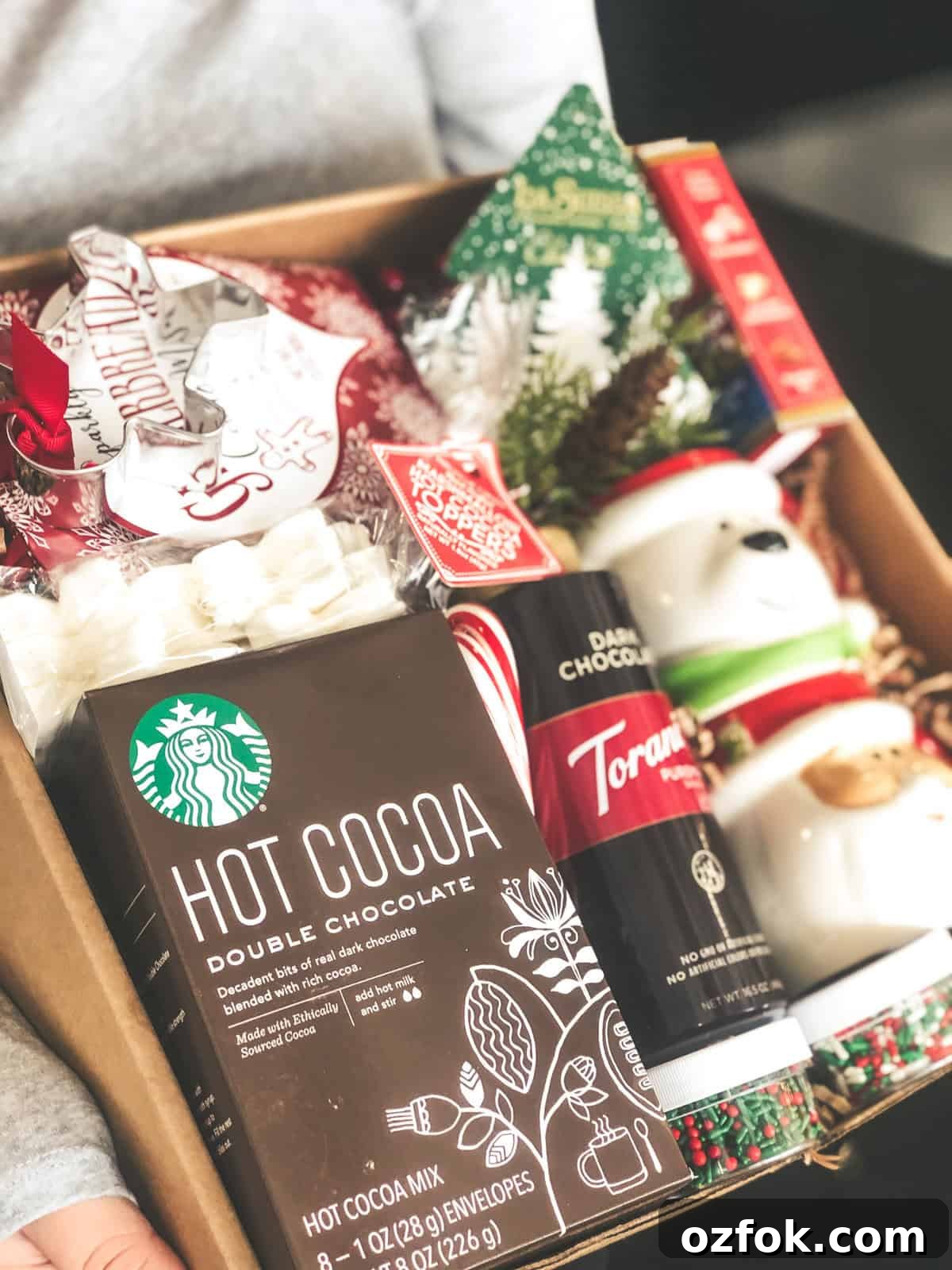 Gift Basket - Holiday Cocoa & Cookies