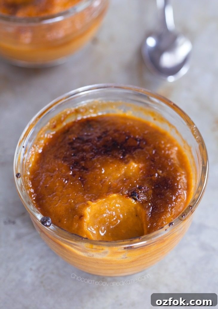 pumpkin creme brulee pumpkin creme brulee