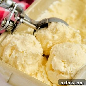 Classic Homemade Vanilla Ice Cream Recipe 12 vanilla ice cream being scooped