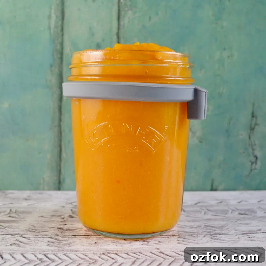 10 Gluten- and Dairy-Free Pumpkin Recipes You’ll Love 2 pumpkin puree