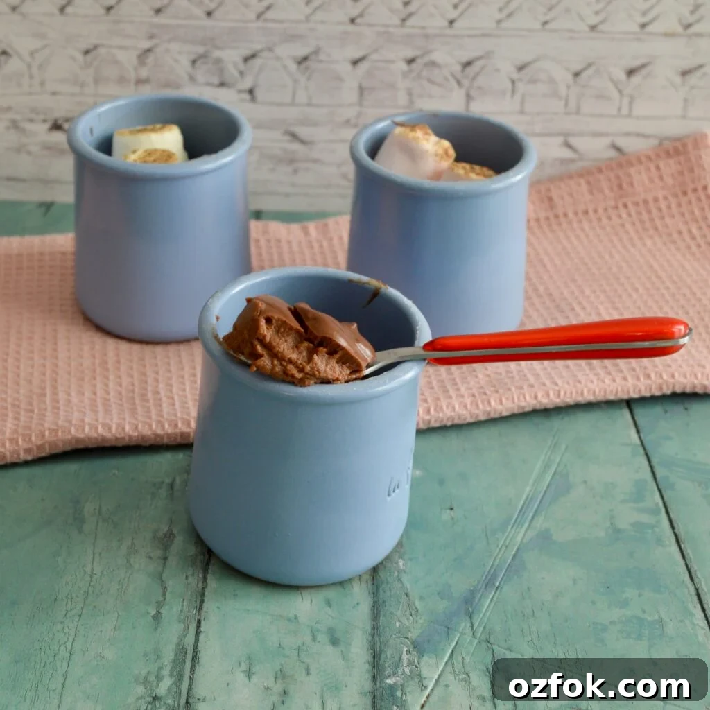 10 Gluten- and Dairy-Free Pumpkin Recipes You’ll Love 11 pumpkin chocolate pudding