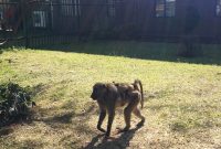 Farewell South Africa: Moving On and New Beginnings Abroad