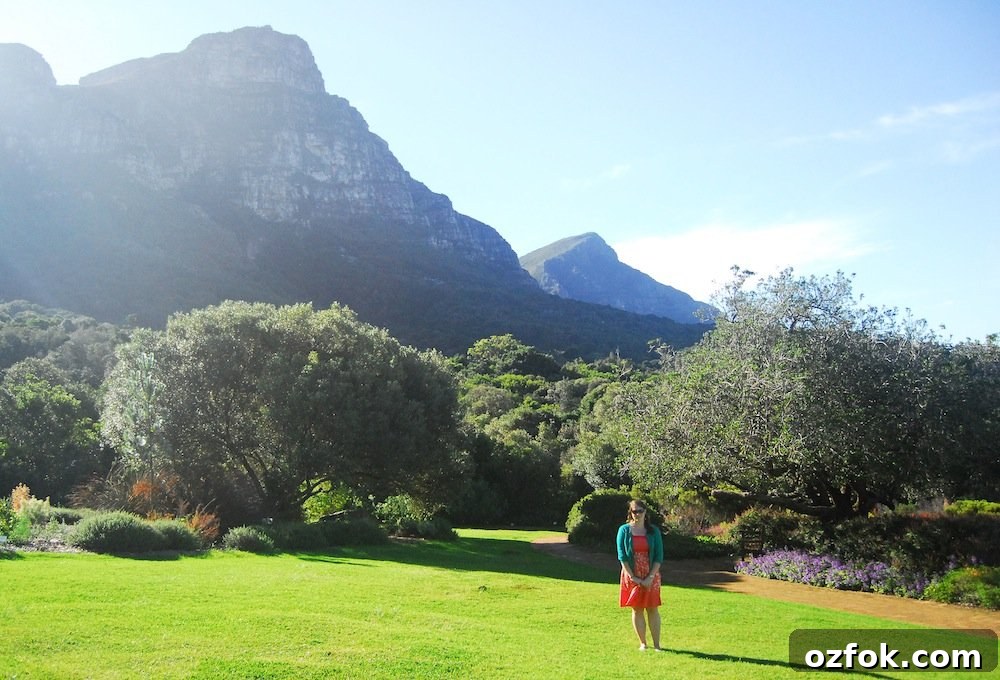 Farewell South Africa: Moving On and New Beginnings Abroad 12 chelsea