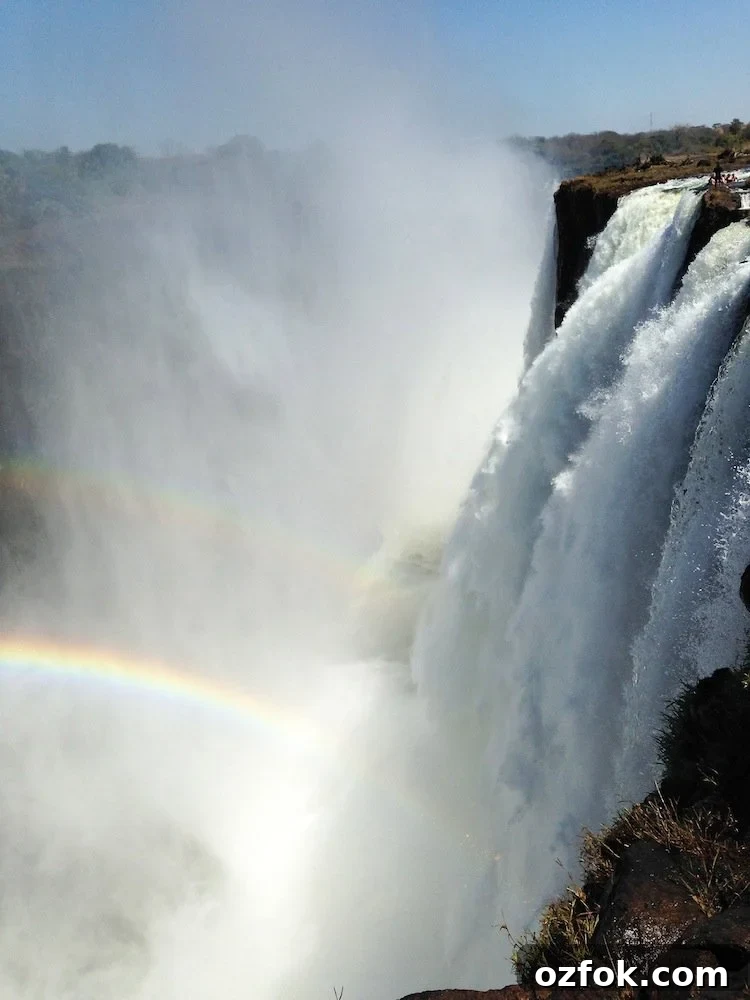 Farewell South Africa: Moving On and New Beginnings Abroad 13 devils-pool1