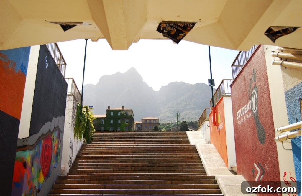 Farewell South Africa: Moving On and New Beginnings Abroad 17 graffiti hall view