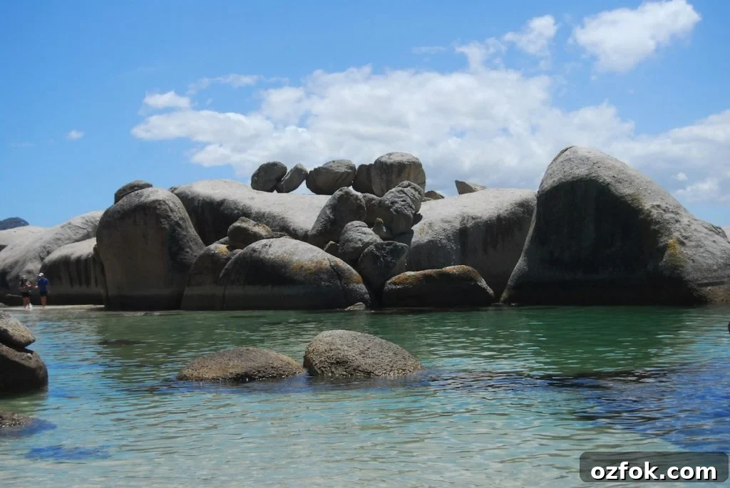 Farewell South Africa: Moving On and New Beginnings Abroad 7 boulder beach 3
