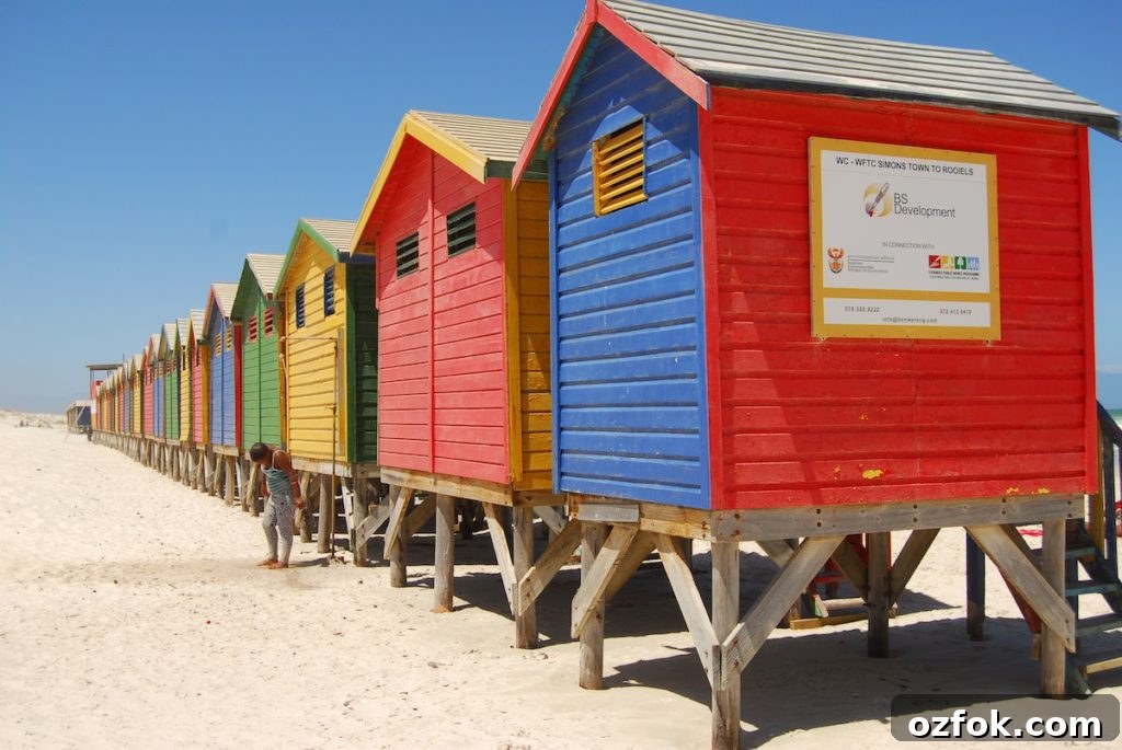 Farewell South Africa: Moving On and New Beginnings Abroad 9 changing rooms 1