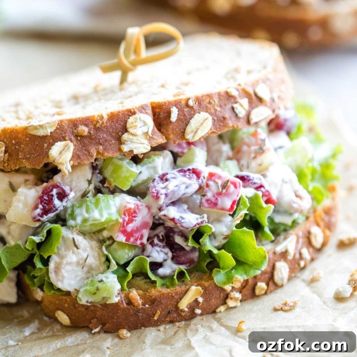 Closeup side view of one turkey salad sandwich with grainy bread and lettuce, held together by a curled bamboo toothpick.