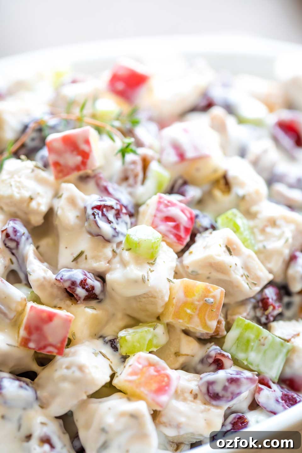 Closeup of a white, oval serving bowl filled with the finished turkey salad recipe.