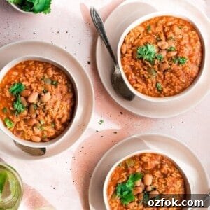 Vegan Instant Pot Mexican Rice and Beans
