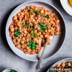 Instant Pot Fennel, Chickpea, and Brown Rice Stew