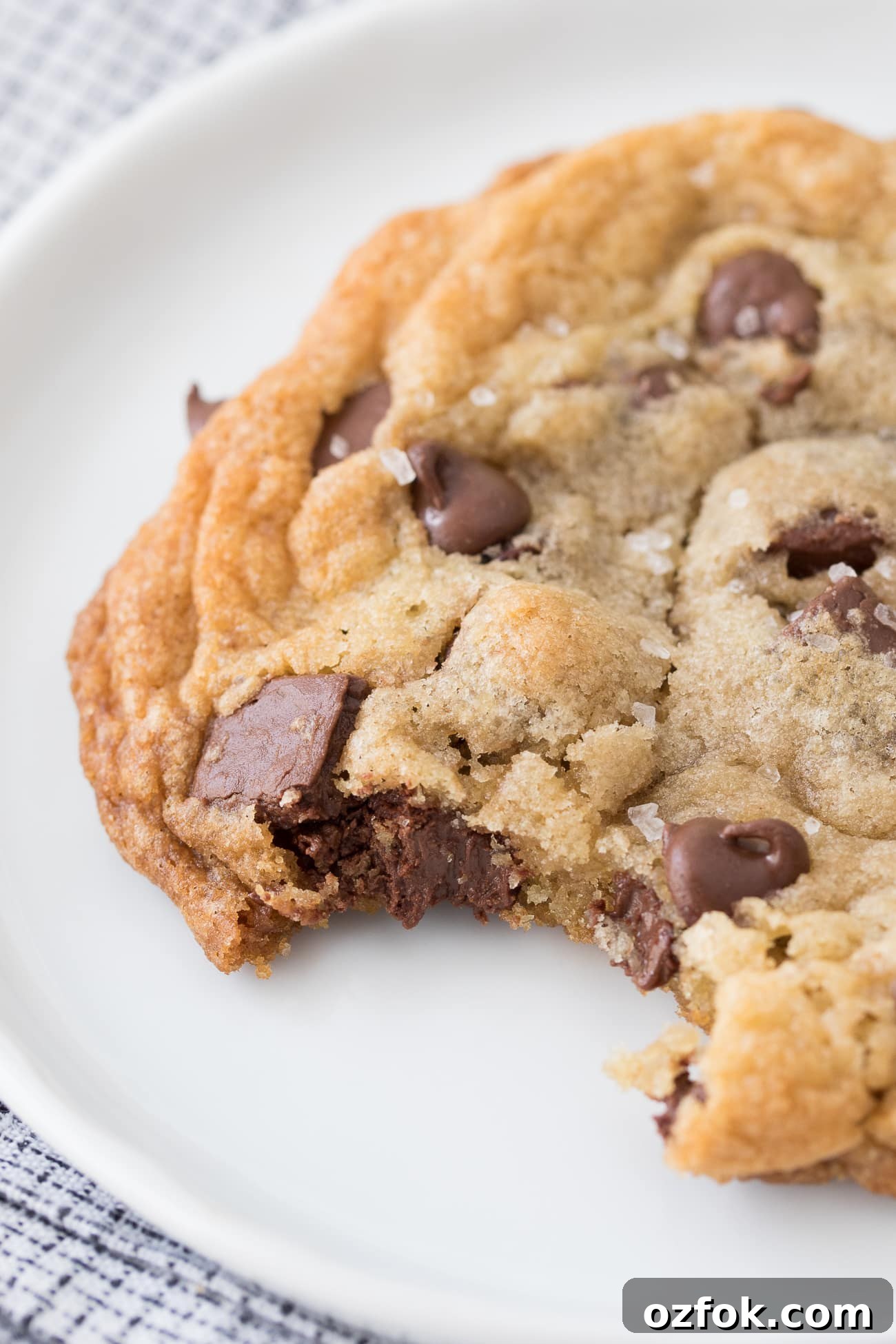 Chewy Chocolate Chip Cookies with Crisp Edges: Classic Recipe 6 Best Ever Chocolate Chip Cookies