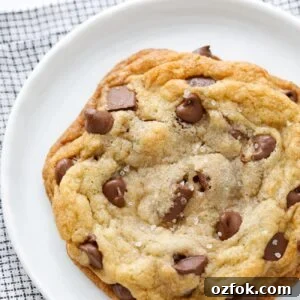 Best Chocolate Chip Cookies Recipe