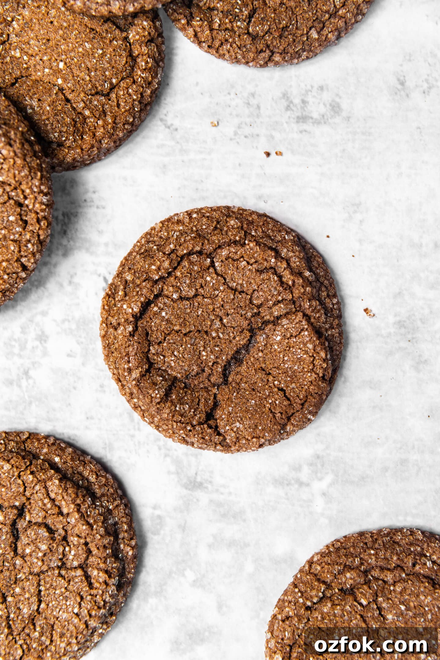 Close up of Drop-Style Chocolate Sugar Cookies