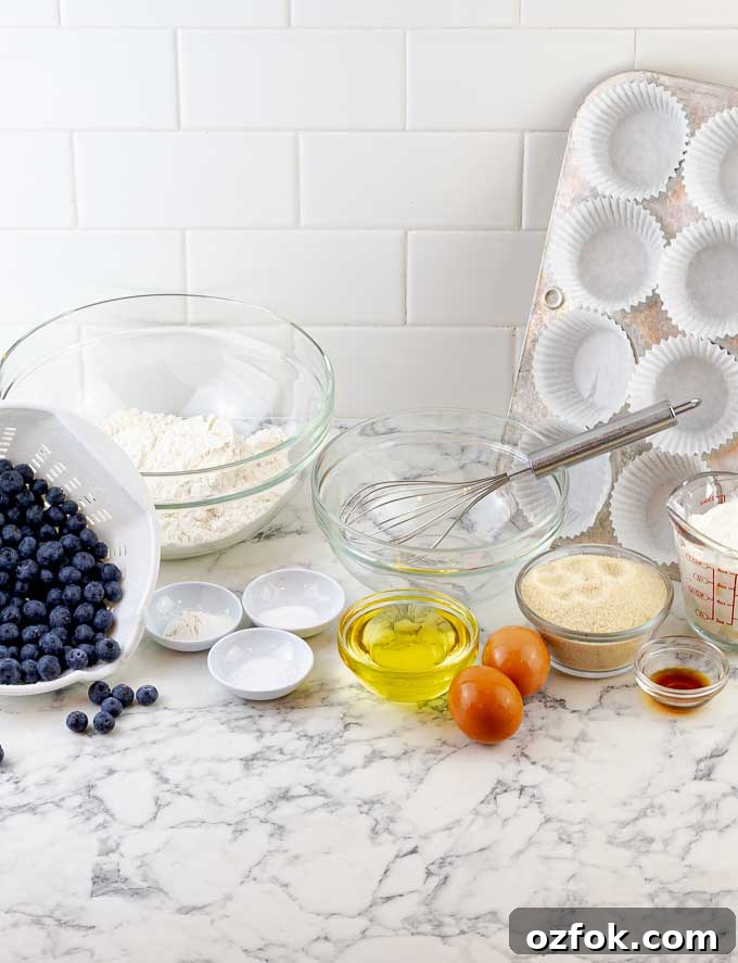 Blueberry Sour Cream Muffins with Crunchy Streusel Topping 4 ingredients for blueberry sour cream muffins