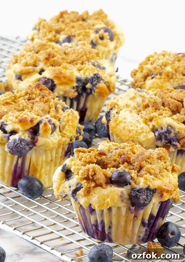 Blueberry Sour Cream Muffins with Crunchy Streusel Topping 7 six blueberry sour cream muffins on a wire rack