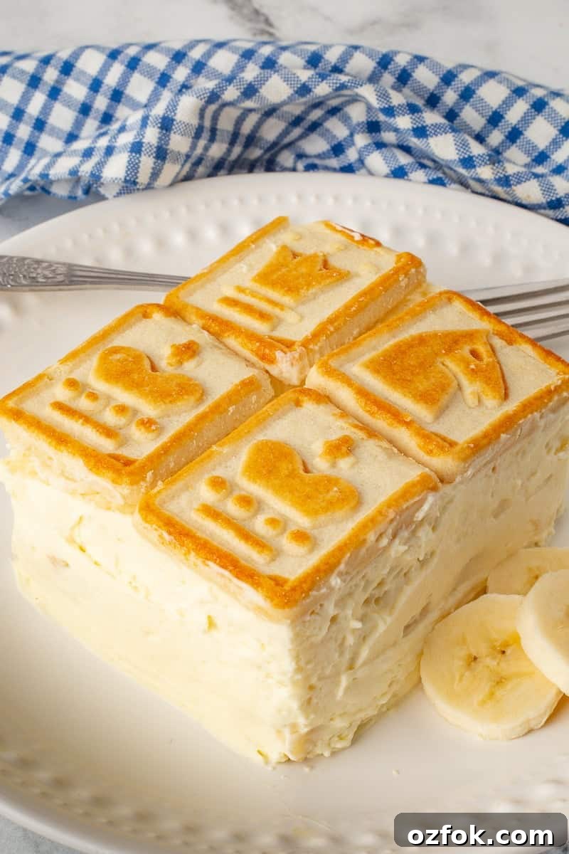 Paula Deen’s Banana Pudding Recipe — Classic Southern Twist 2 Helping of Paula Deen's banana pudding on a white plate with sliced bananas.