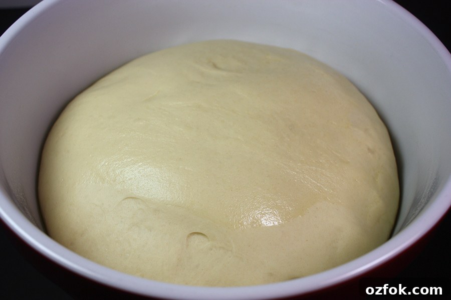 Bread dough risen in a red bowl.