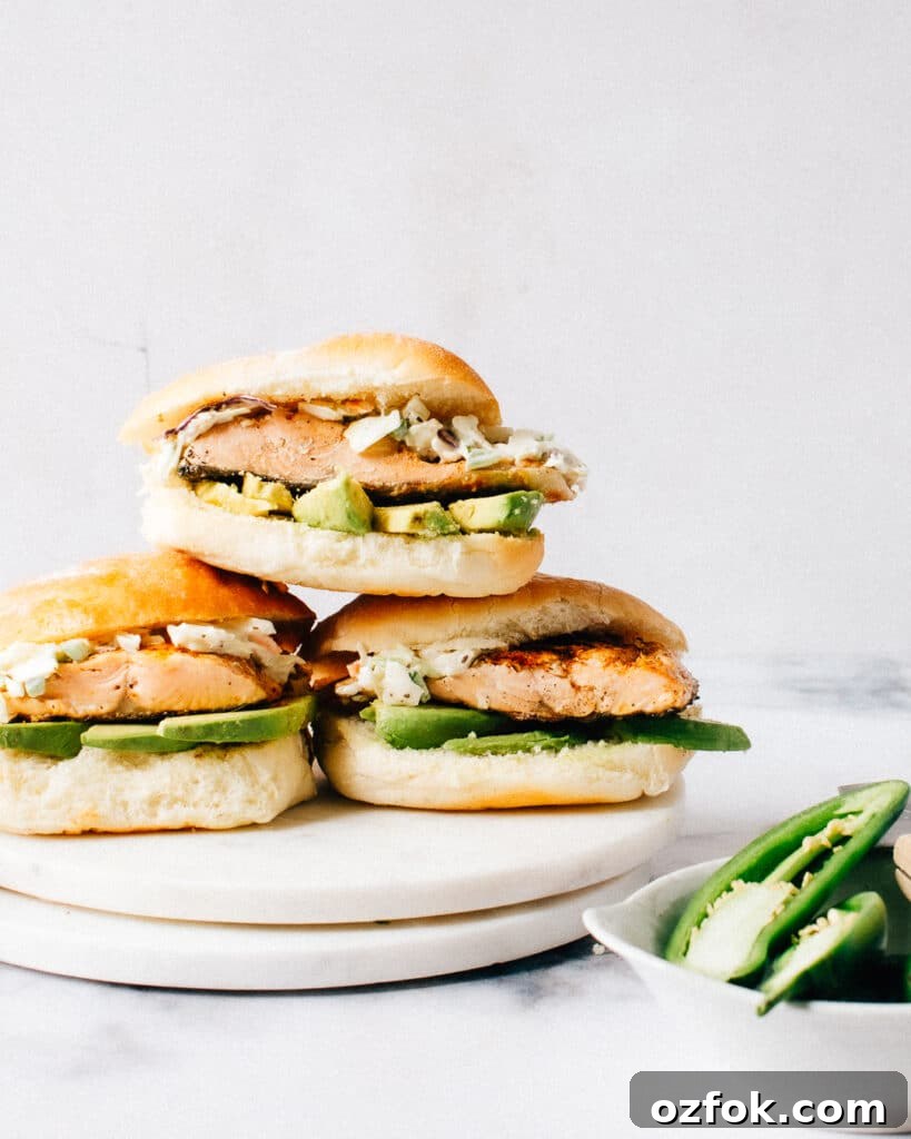 Moist Salmon Recipes That Stay Tender Every Time — Pro Tips Included 6 Best Salmon Burgers
