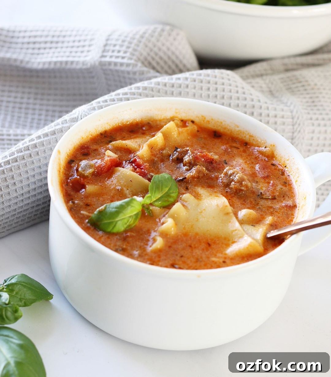 Hearty Italian Lasagna Soup Recipe You’ll Love 3 img 384 2