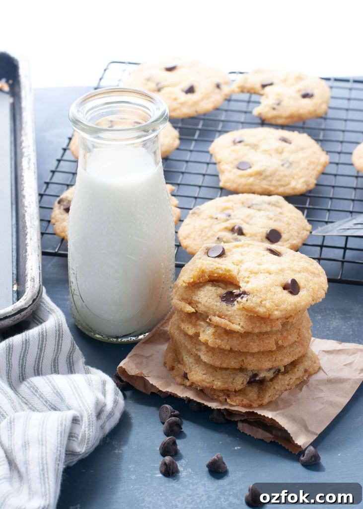 Soft Gluten-Free, Dairy-Free Chocolate Chip Cookies Recipe 2 gluten-free-dairy-free-chocolate-chip-cookies