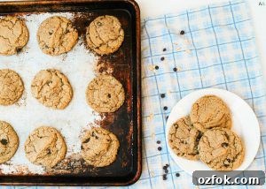 Soft Gluten-Free, Dairy-Free Chocolate Chip Cookies Recipe 11 gluten-free-dairy-free-egg-free-oatmeal-chocolate-chip-cookie-recipe