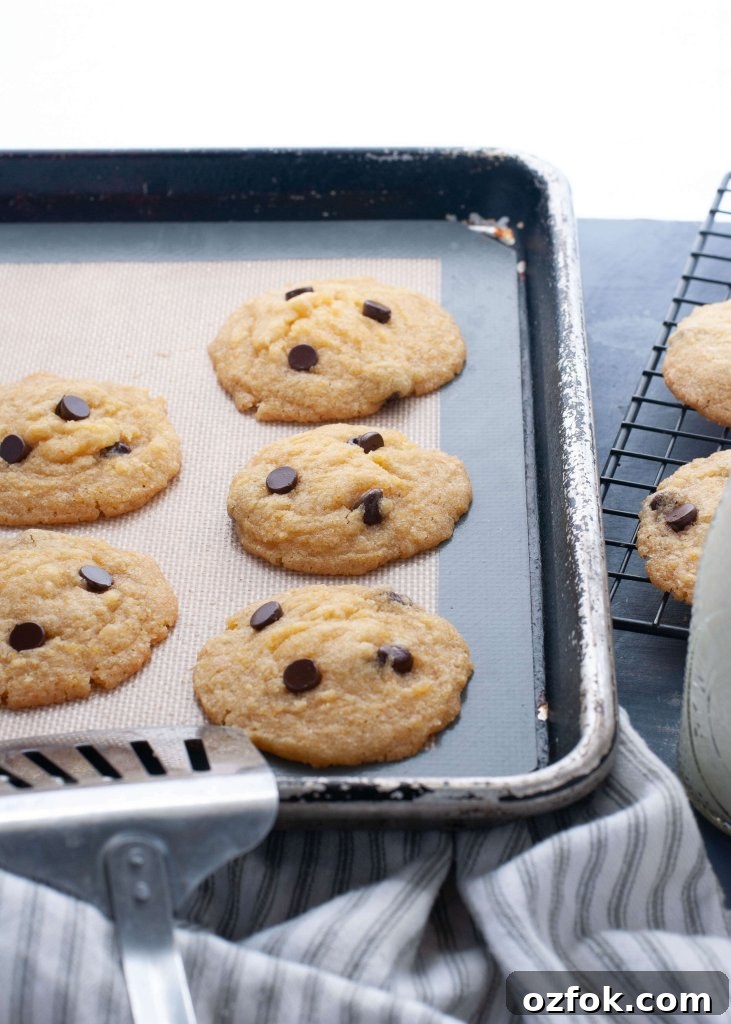 Soft Gluten-Free, Dairy-Free Chocolate Chip Cookies Recipe 4 allergy-friendly-chocolate-chip-cookies