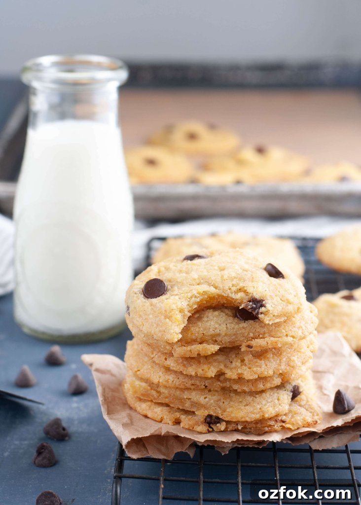 Soft Gluten-Free, Dairy-Free Chocolate Chip Cookies Recipe 5 top-8-free-chocolate-chip-cookies
