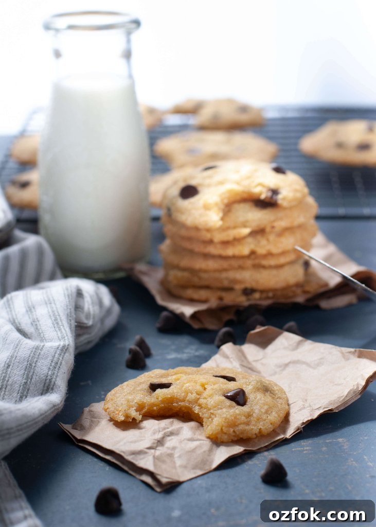 Soft Gluten-Free, Dairy-Free Chocolate Chip Cookies Recipe 7 gluten-free-chocolate-chip-cookies