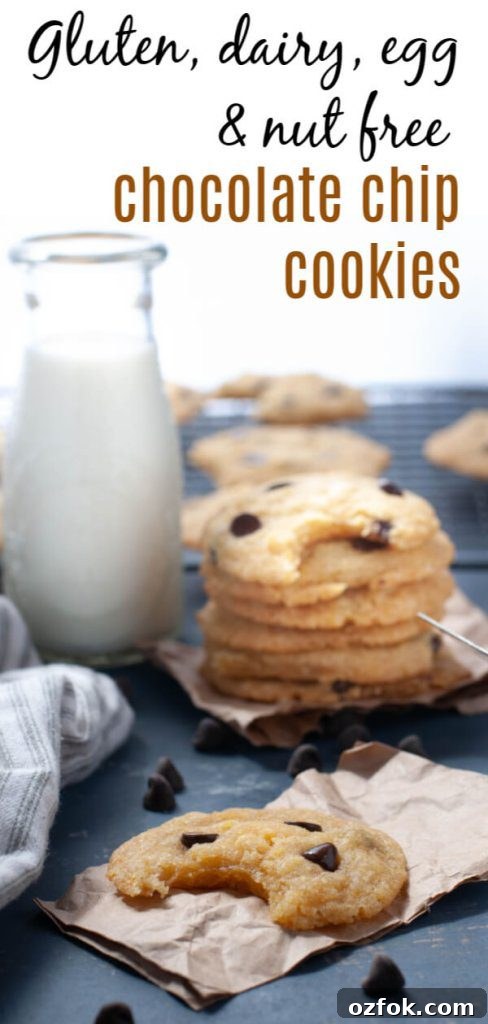 Soft Gluten-Free, Dairy-Free Chocolate Chip Cookies Recipe 10 gluten-dairy-egg-nut-free-chocolate-chip-cookies
