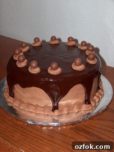 Chocolate Malt Cake Chocolate Malt Cake