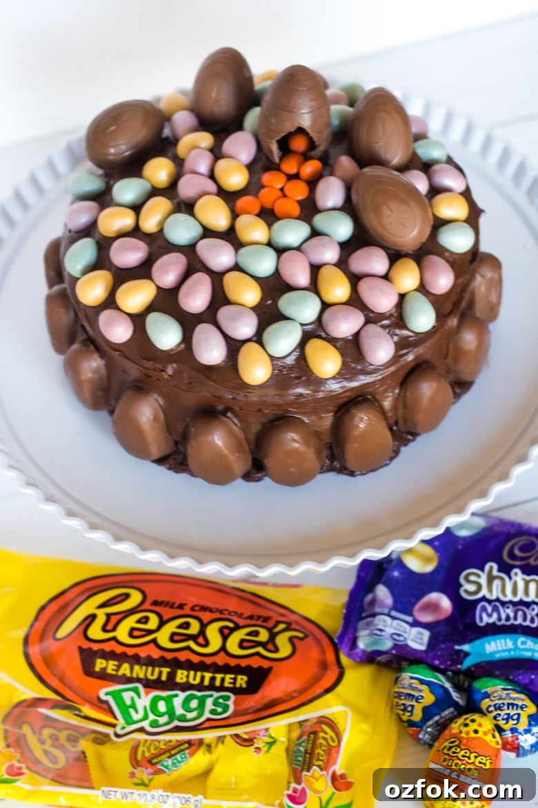 Easter Candy Cake Ideas: Festive Recipes & Decorating Tips 2 Chocolate Cake Topped with Easter Candy