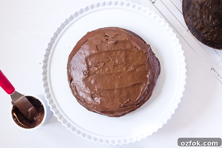 Easter Candy Cake Ideas: Festive Recipes & Decorating Tips 5 Icing Round Cake