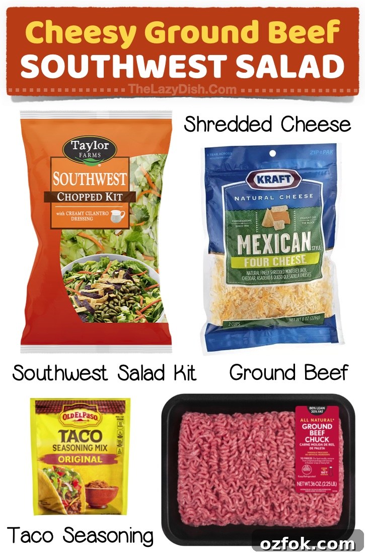 23 Quick Last-Minute Dinner Ideas for Busy Weeknights 16 Cheesy Ground Beef Southwest Salad | Looking for fun and easy dinner ideas you can slap together with no effort at all? This list of simple meals is for you! Great for families with picky eaters. My kids love all of these yummy ideas, and they are all really versatile.