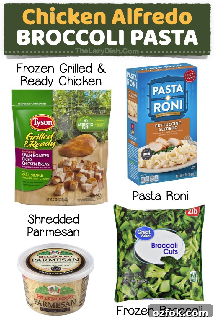23 Quick Last-Minute Dinner Ideas for Busy Weeknights 6 Chicken Alfredo Broccoli Pasta | A list of kid-friendly last minute dinner ideas! If you have picky eaters at home, you've got to check out these easy meals. Lots ideas to just pick up at the grocery store on your way home from work.