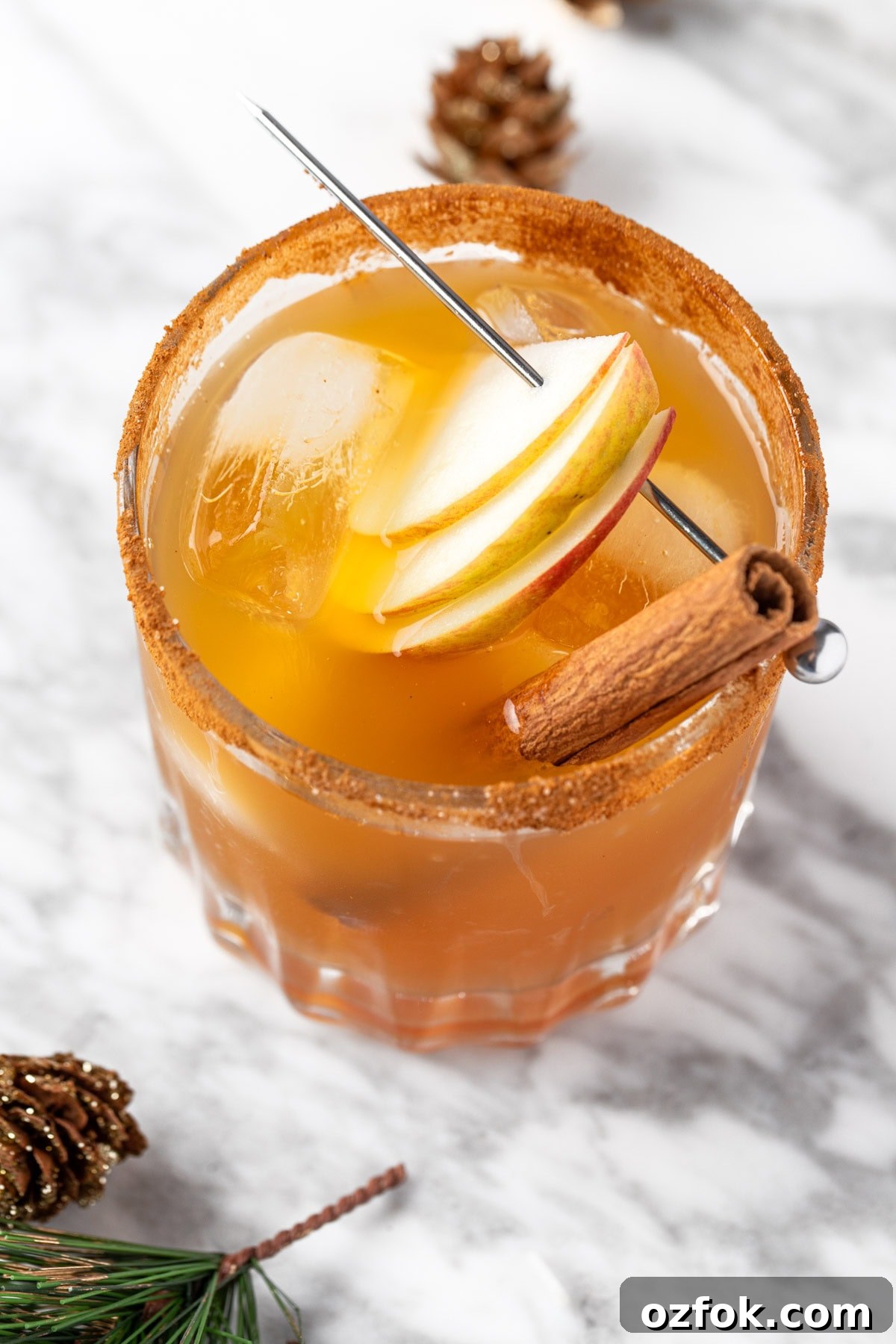Apple Cider Margarita Recipe: Spiced Fall Cocktail Guide 2 A fall margarita garnished with apple slices and a cinnamon stick.