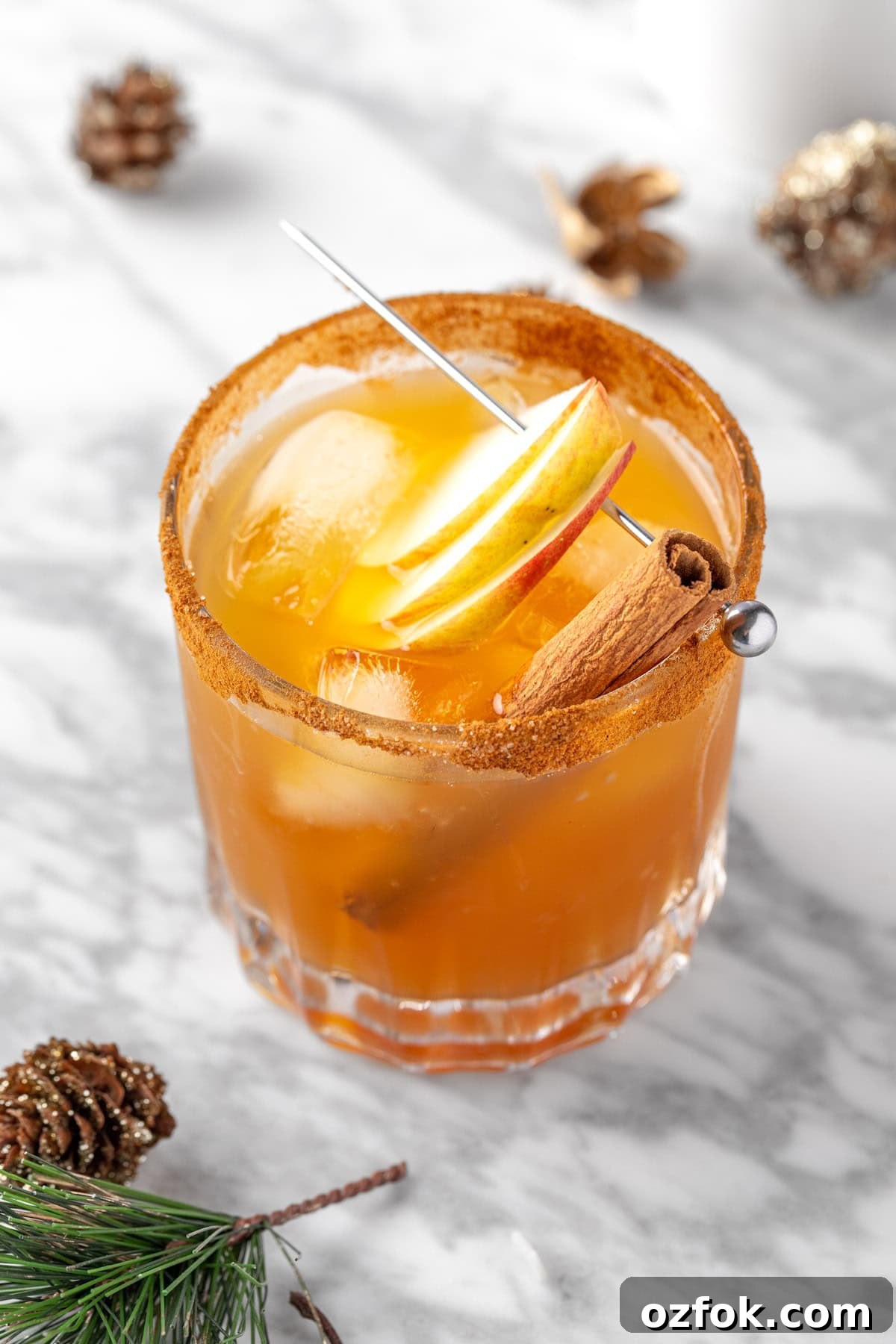 Apple Cider Margarita Recipe: Spiced Fall Cocktail Guide 6 An apple cider margarita garnished with apple slices and a cinnamon stick.