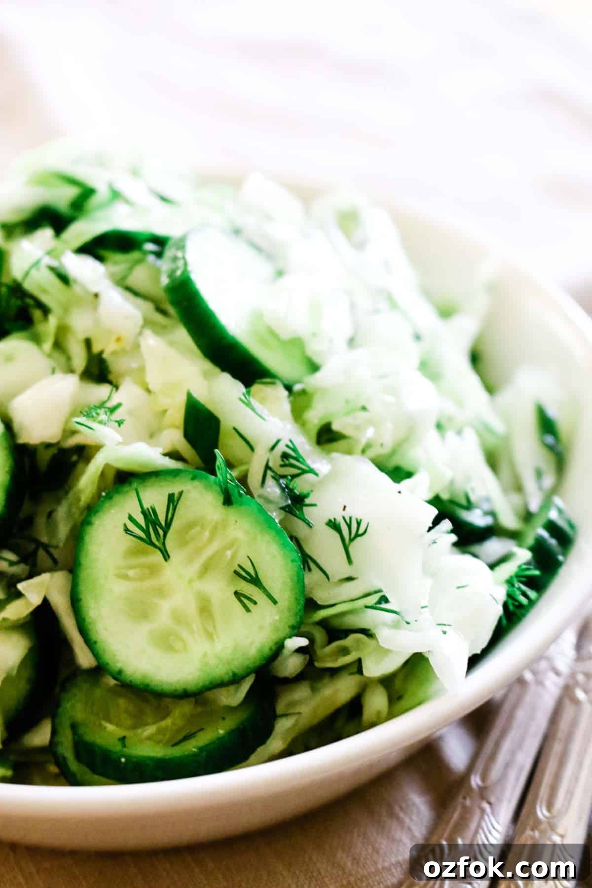 Cucumber, cabbage, dill, and green onion salad in white bowl