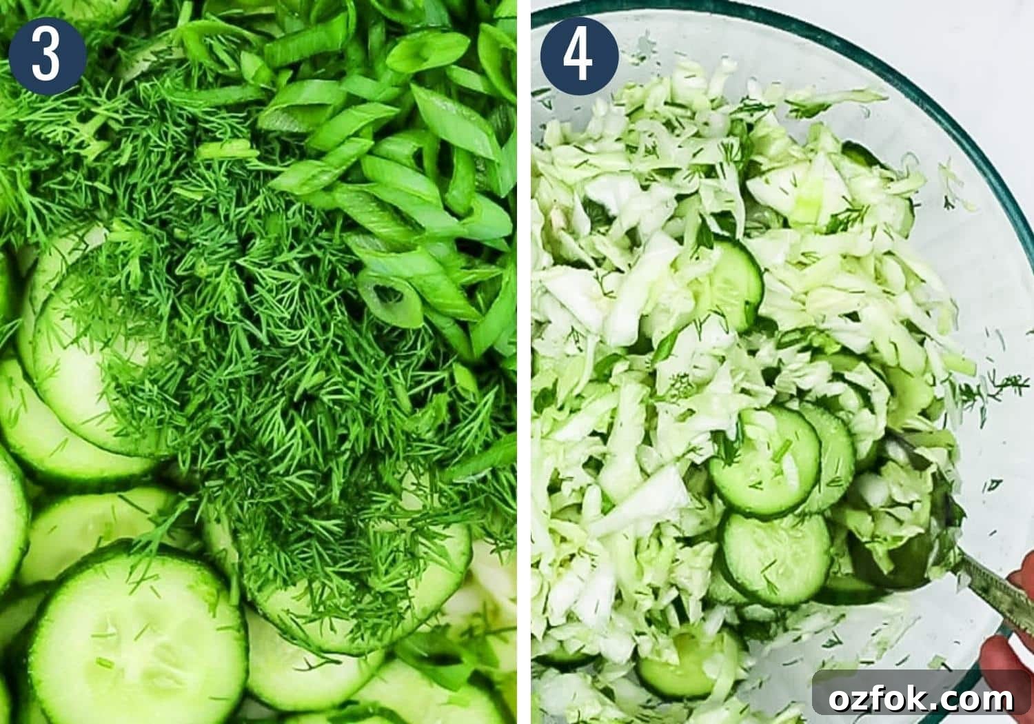 A collage of green onions and dill and tossed cabbage cucumber salad