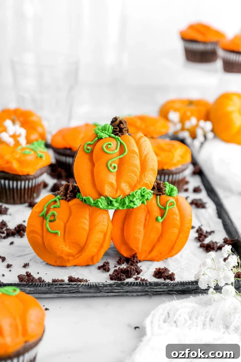 Chocolate Pumpkin Cupcakes
