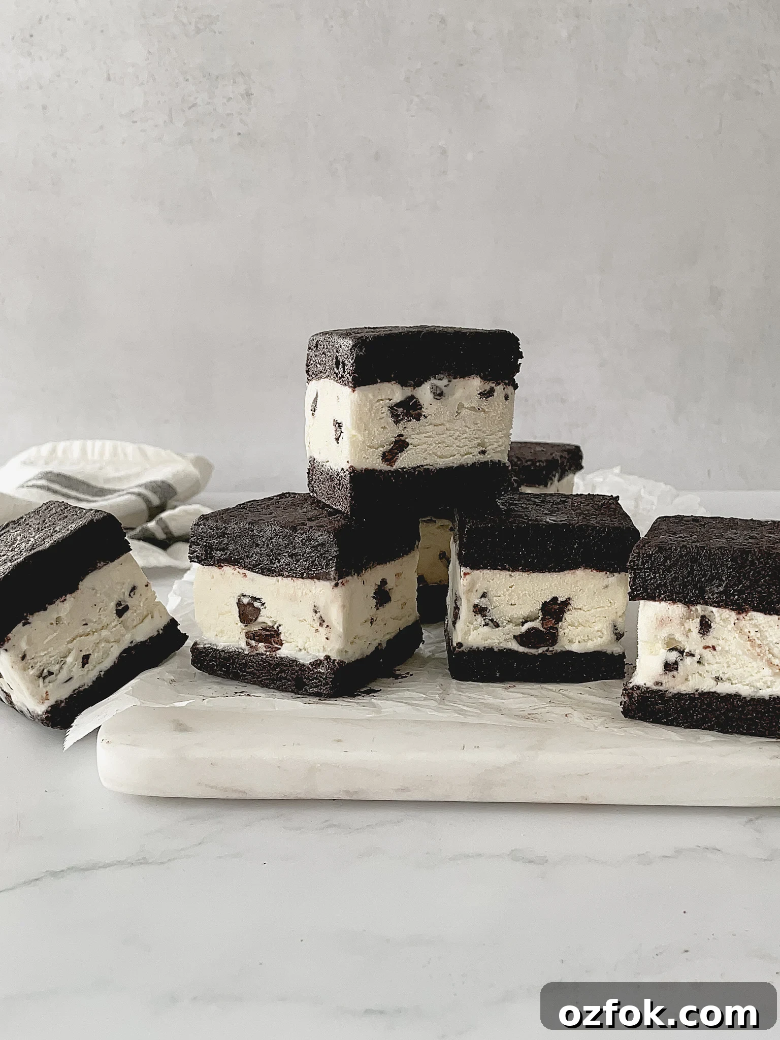 Mint Chocolate Chip Ice Cream Sandwich Recipe — Homemade Treat Under 65 Minutes 2 img 46 1